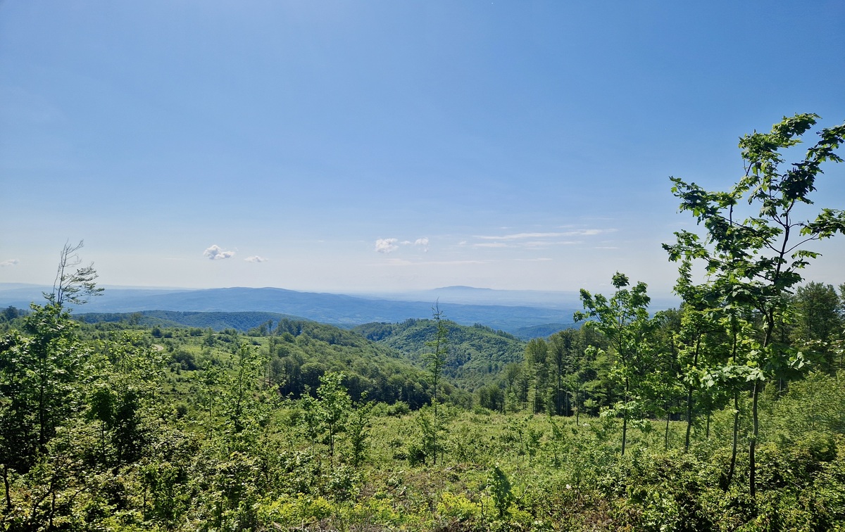 Panoramski pogled s Psunja – OPG Volf